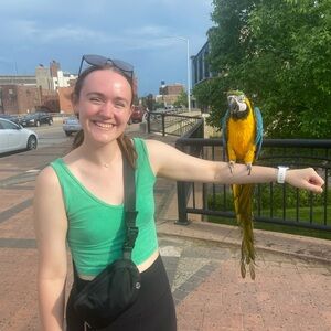 Meet your Posher, Grace